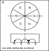 Type of Magnetization2